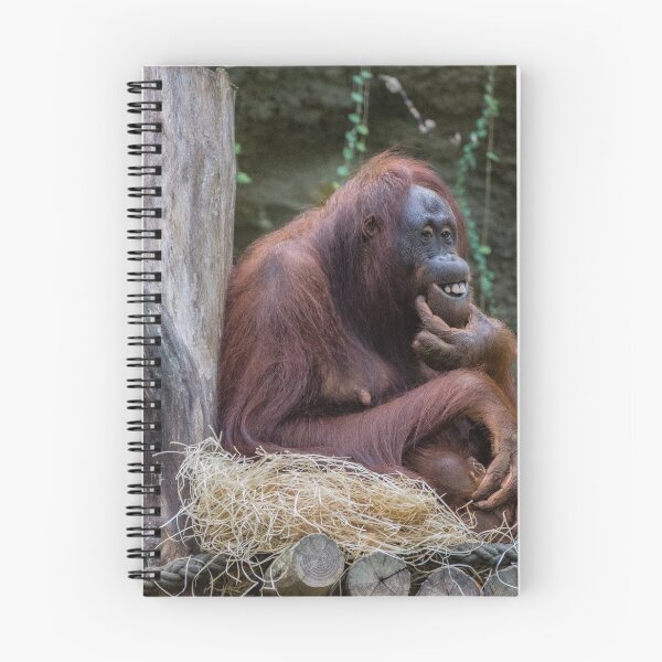 Item preview, Orangutan - smile designed and sold by Dagostino.