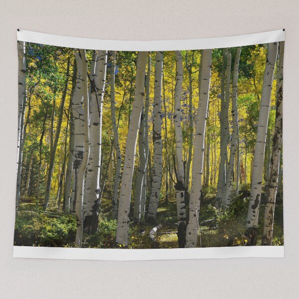Item preview, The Beckoning designed and sold by Gary Benson.