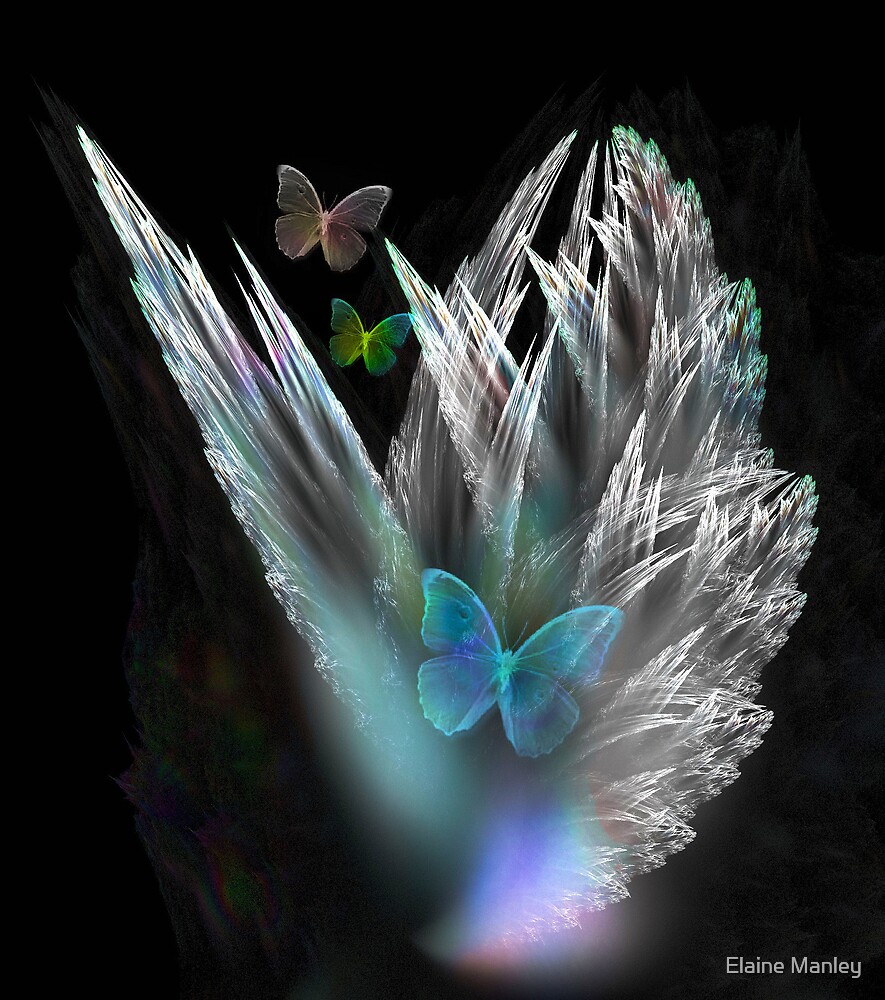 "Butterflies are Free " by Elaine Manley Redbubble