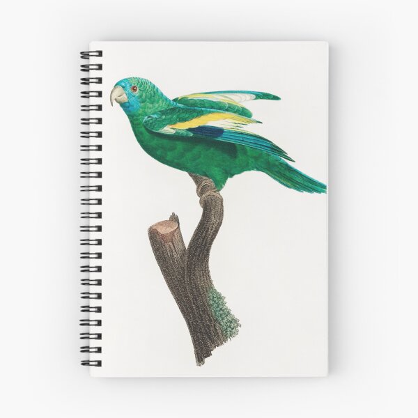 Item preview, A beautiful parrot designed and sold by Sigma12.