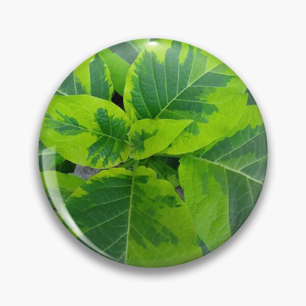 Item preview, Green Foliage 1 designed and sold by sereneL.