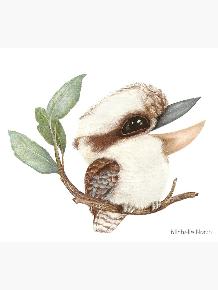 Baby Kookaburra Greeting Card Baby Kookaburra Greeting Card