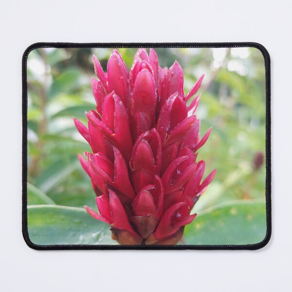 Item preview, Red Crepe Ginger designed and sold by sereneL.