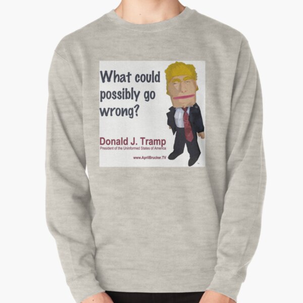 What could possibly go wrong? Pullover Sweatshirt
