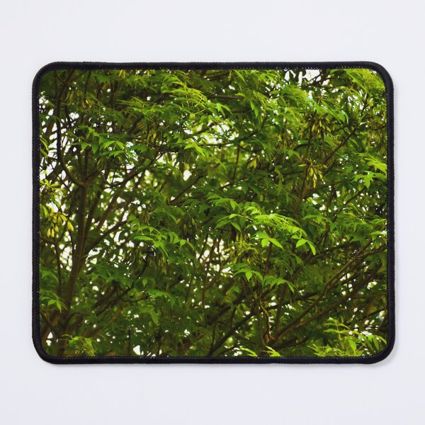 Item preview, bright green leaves designed and sold by JesseBalk.