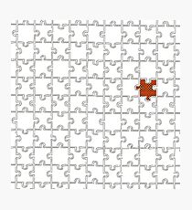 Puzzle Photographic Print