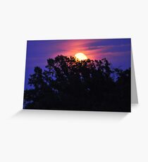 Moonlight and Indigo Greeting Card