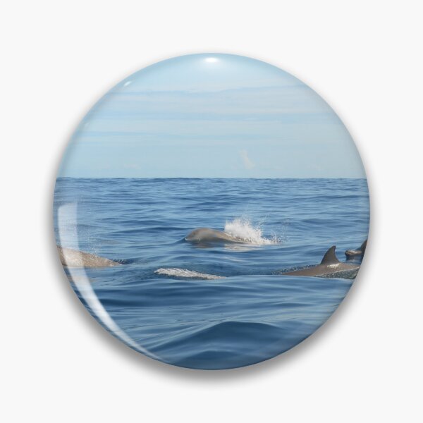 Item preview, North Atlantic Bottlenose Whales designed and sold by Malcolm Snook.