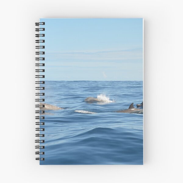 Item preview, North Atlantic Bottlenose Whales designed and sold by Malcolm Snook.