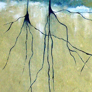 Artwork thumbnail, Deep Roots by Ruth Palmer