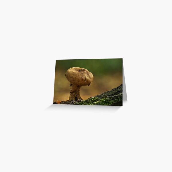 Item preview, E.T.  -  Common Puffball designed and sold by godders.