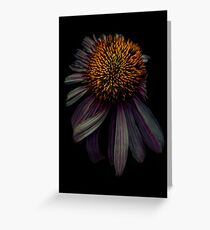 Nodding off Greeting Card