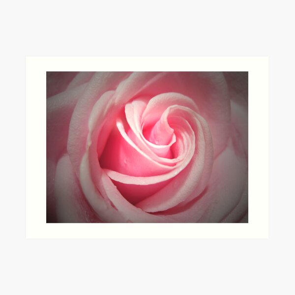 Pink Delight Art Print