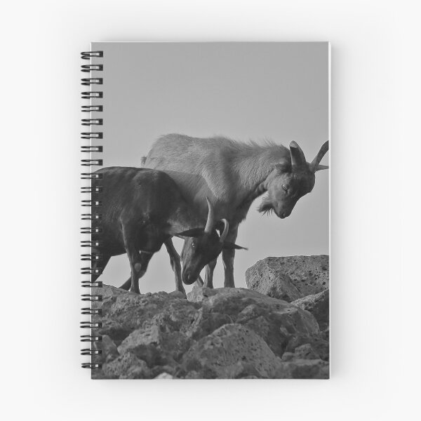 Item preview, Pushy Goat designed and sold by ADM  Photography.