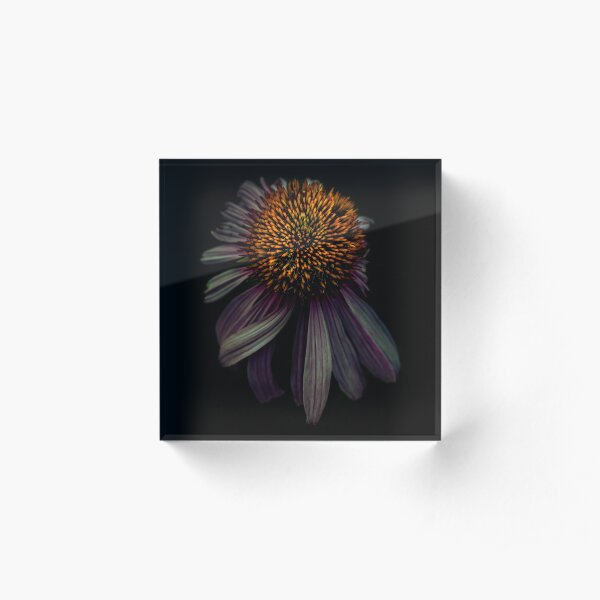 Nodding off Acrylic Block