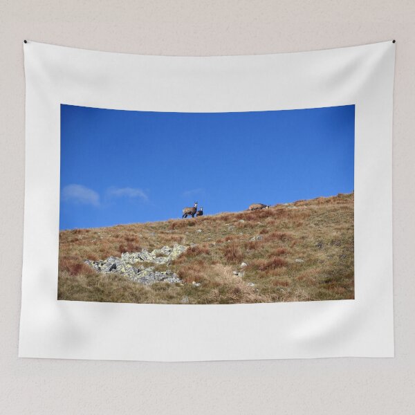 Item preview, autumn mountain meadow with stones and chamois designed and sold by honza28683.