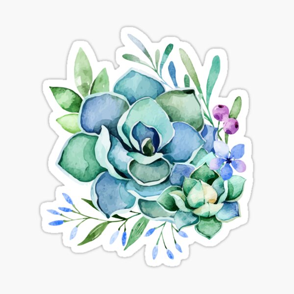 Watercolor Succulent Sticker