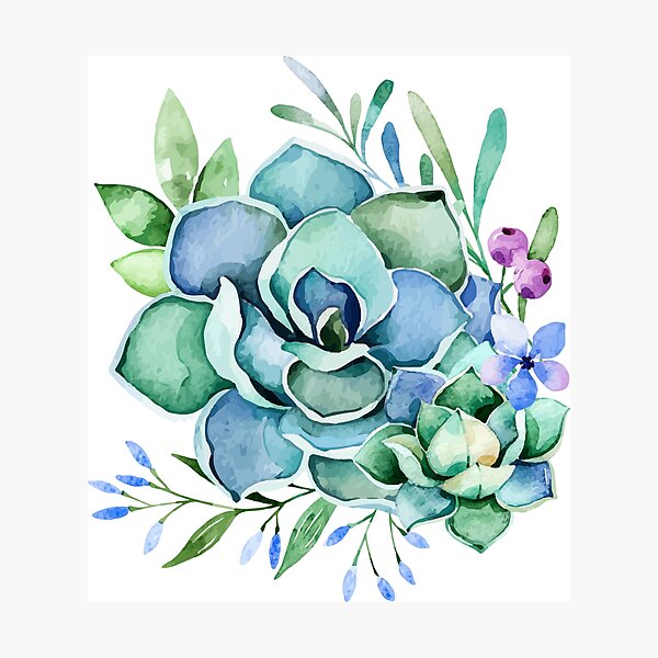 Watercolor Succulent Photographic Print