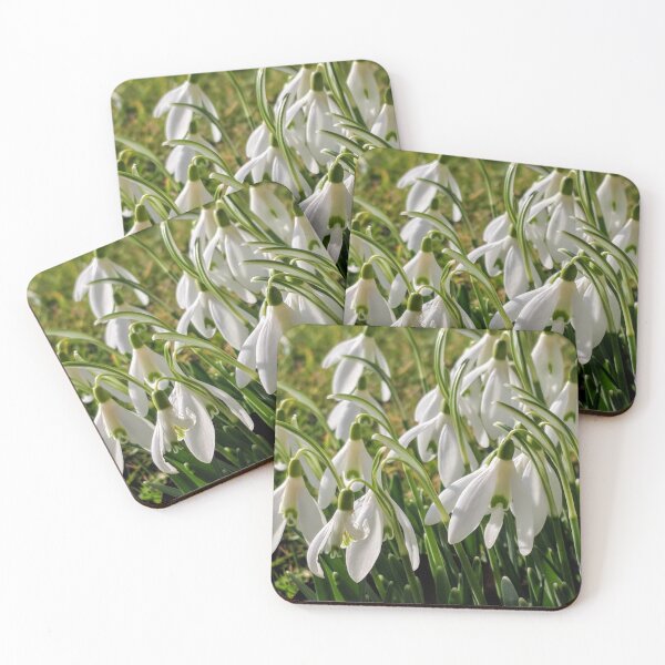 Item preview, Snowdrops in my garden designed and sold by suespaintroom.