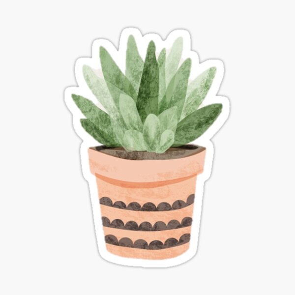 Succulent Stickers for Sale