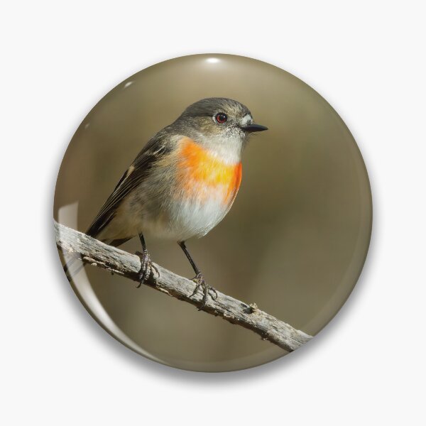 Item preview, Female Scarlet Robin designed and sold by Stephen Ruane.