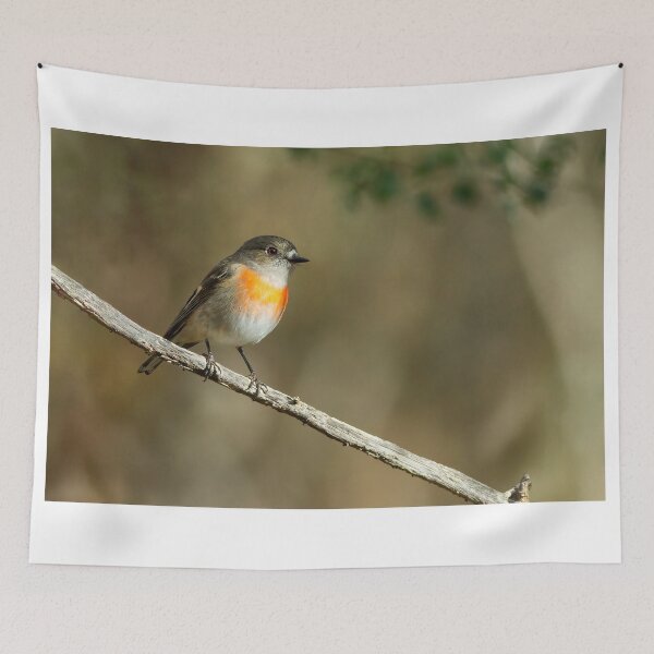 Item preview, Female Scarlet Robin designed and sold by Stephen Ruane.