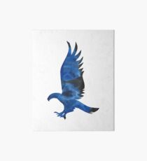 House Eagle Watercolor Art Board