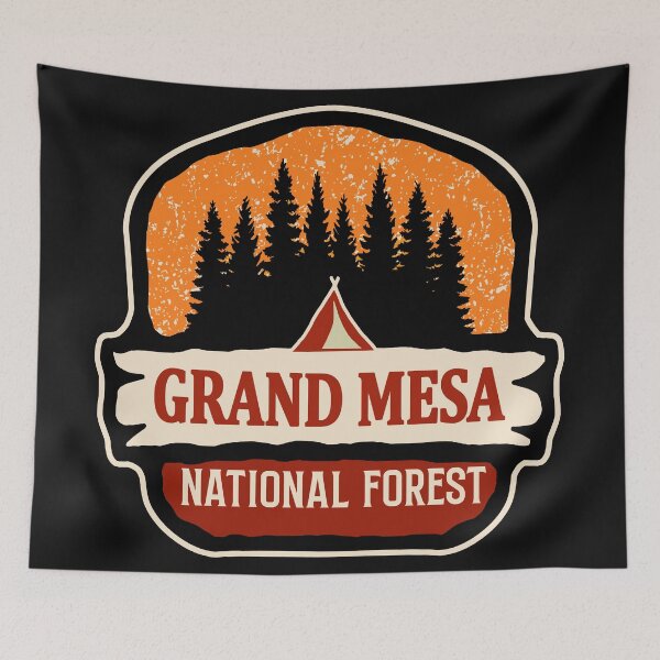 Aperçu de l'œuvre Forêt nationale de Grand Mesa créée et vendue par Road-tees.