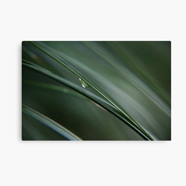 Tranquillity Canvas Print
