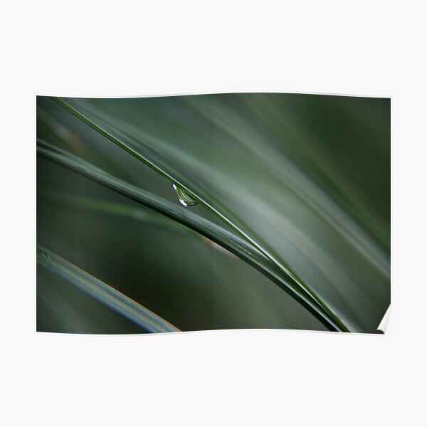 Tranquillity Poster