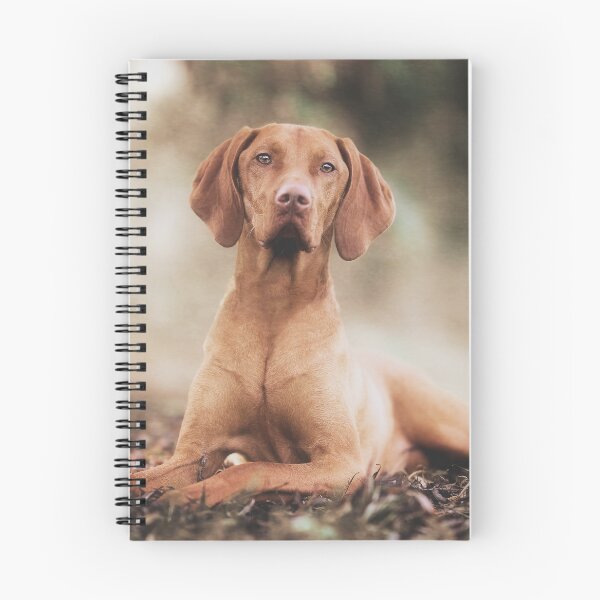 Item preview, Hungarian Vizsla Gundog designed and sold by Carrie Southerton Dog Photography.