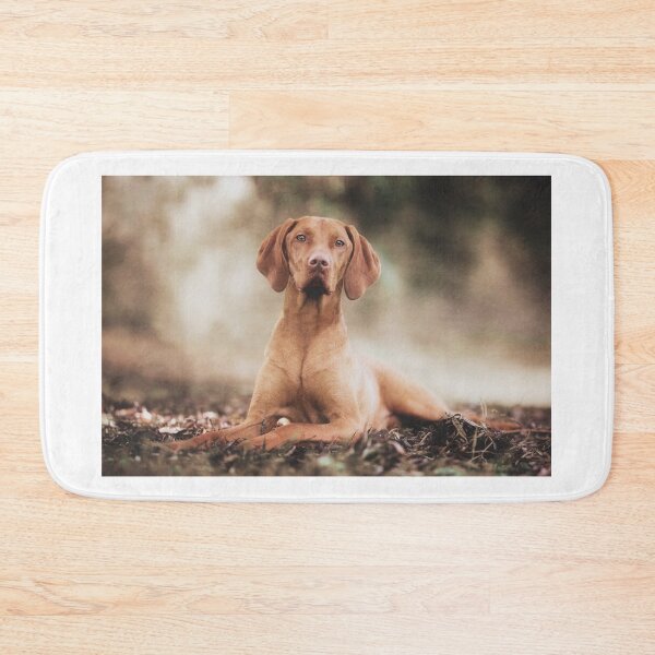 Item preview, Hungarian Vizsla Gundog designed and sold by Carrie Southerton Dog Photography.