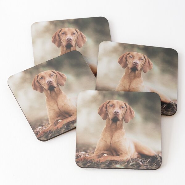 Item preview, Hungarian Vizsla Gundog designed and sold by Carrie Southerton Dog Photography.
