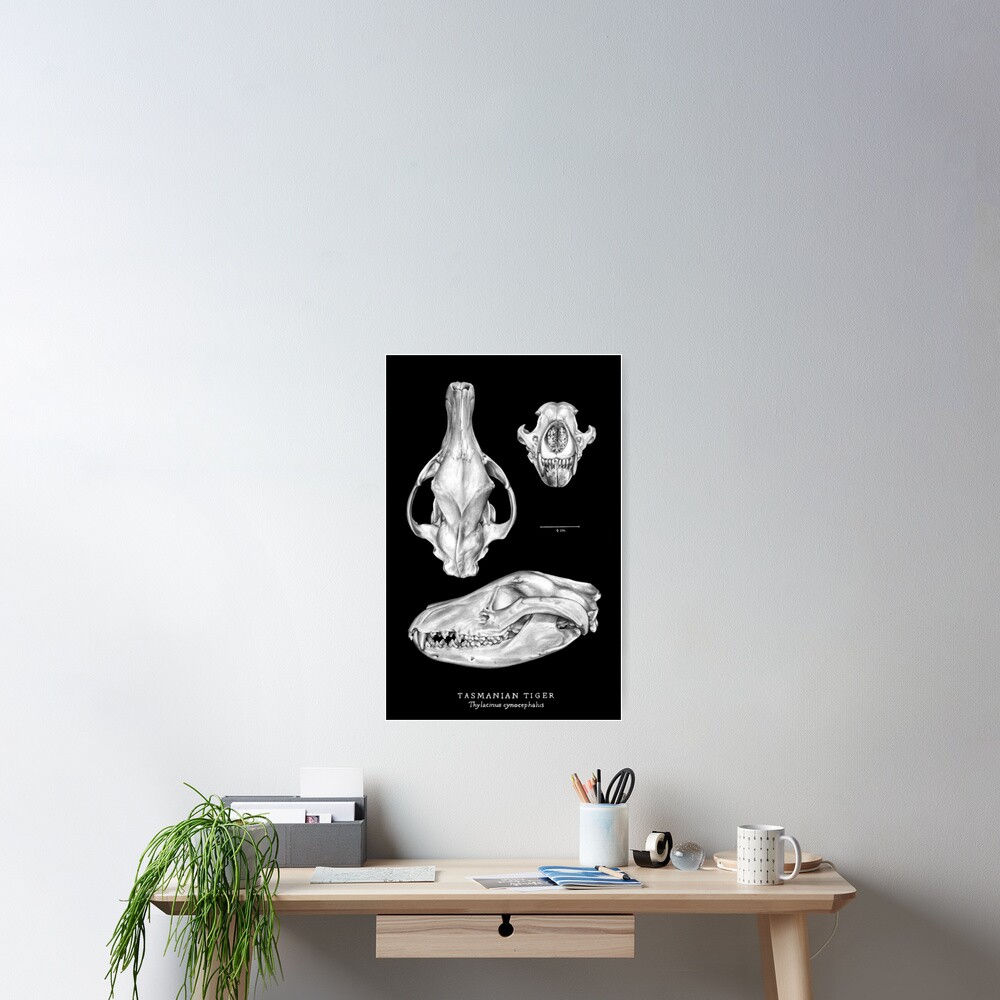 Item preview, Poster designed and sold by antarcticpip.