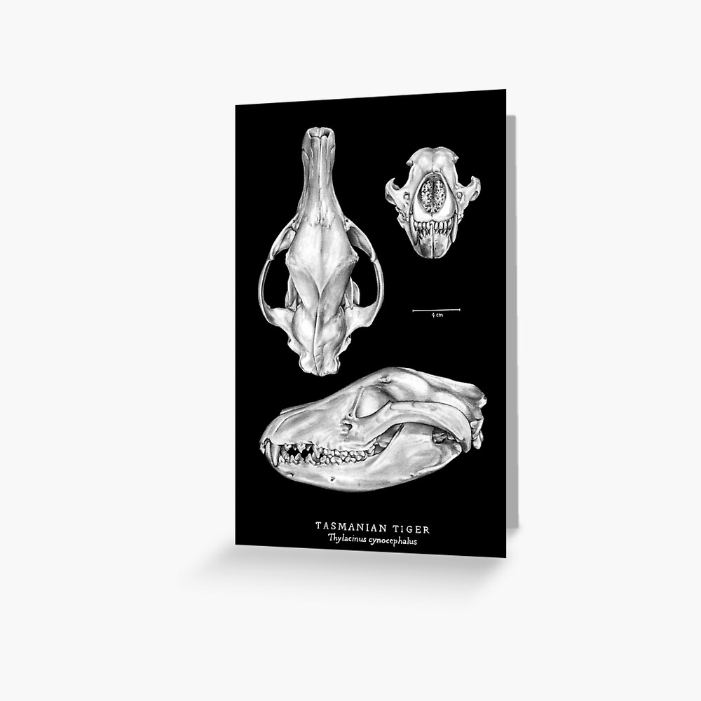 Item preview, Greeting Card designed and sold by antarcticpip.