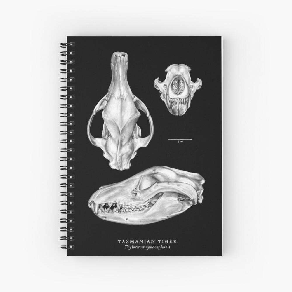 Item preview, Spiral Notebook designed and sold by antarcticpip.