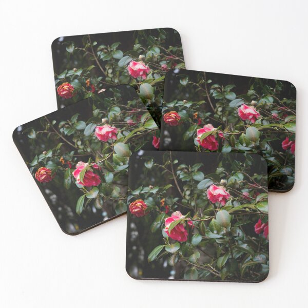 Item preview, Rose garden color photo designed and sold by designbymarcs.