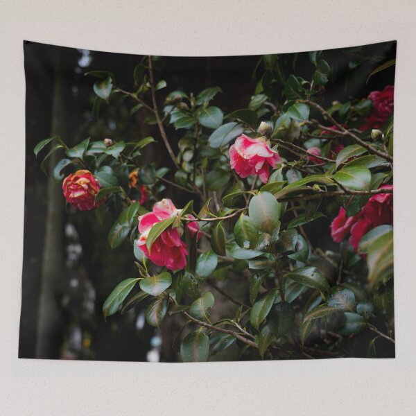 Item preview, Rose garden color photo designed and sold by designbymarcs.
