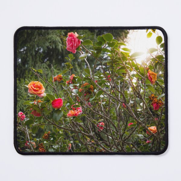 Item preview, Rose garden color photo 2 designed and sold by designbymarcs.