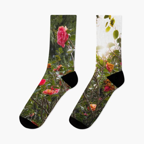 Item preview, Rose garden color photo 2 designed and sold by designbymarcs.