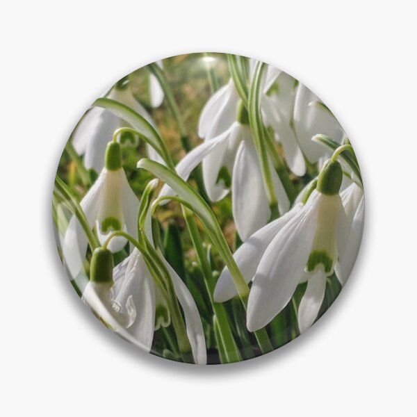 Item preview, Snowdrops in my garden designed and sold by suespaintroom.