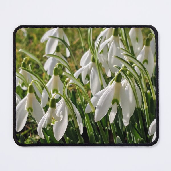 Item preview, Snowdrops in my garden designed and sold by suespaintroom.