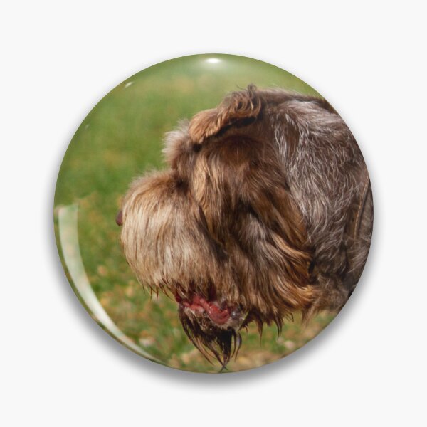Item preview, Fetching a ball Spinone designed and sold by FOLK ART FUSION by heidiannemorris.