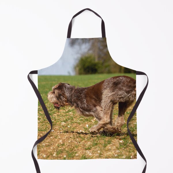 Item preview, Fetching a ball Spinone designed and sold by FOLK ART FUSION by heidiannemorris.