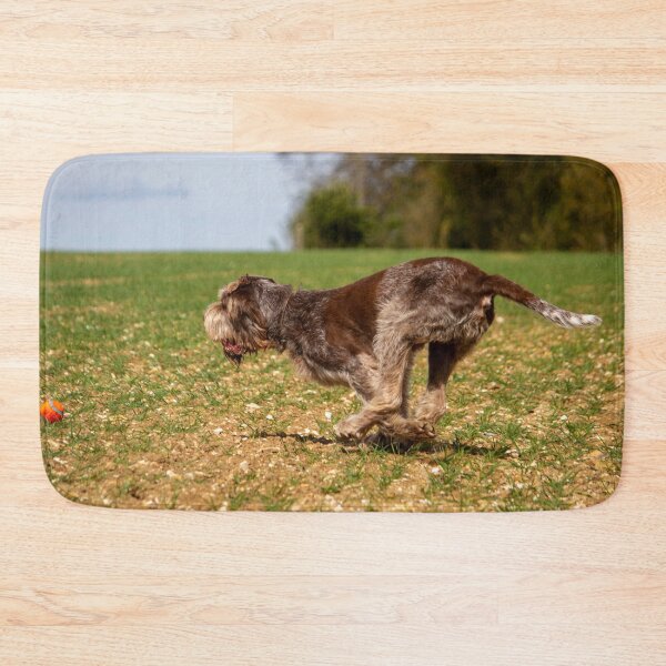 Item preview, Fetching a ball Spinone designed and sold by FOLK ART FUSION by heidiannemorris.