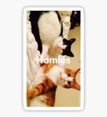 Homies Sticker