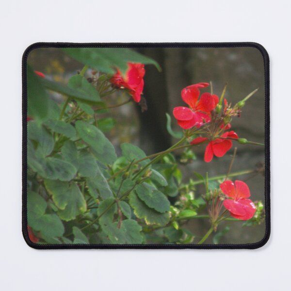 Item preview, red flowers designed and sold by Francespoppy.