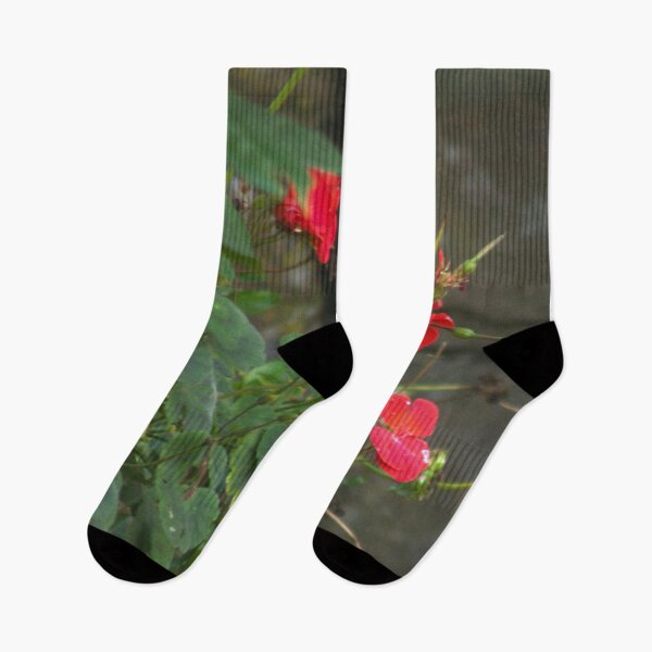 Item preview, red flowers designed and sold by Francespoppy.