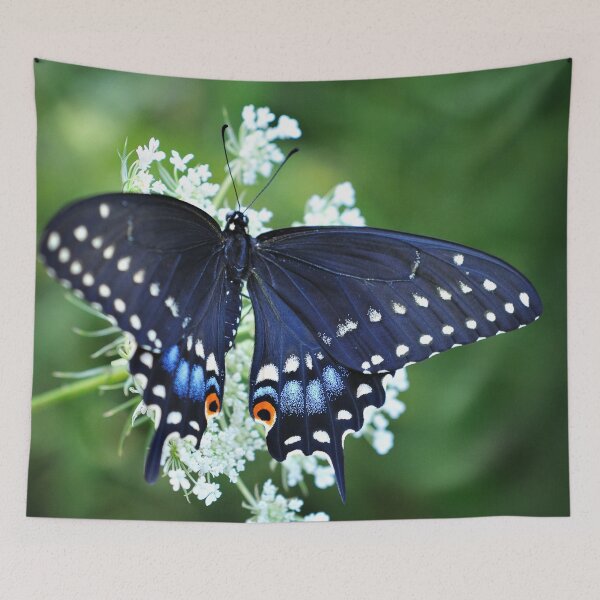 Item preview, Wonder designed and sold by inlightimagery.