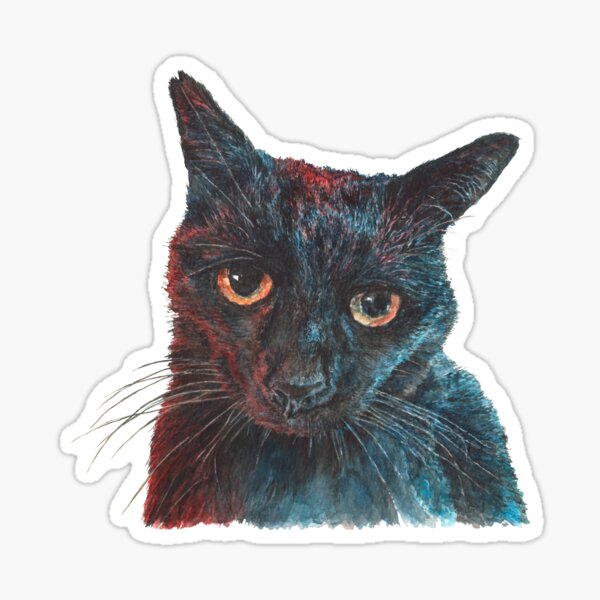 Pooky the Black Cat Sticker